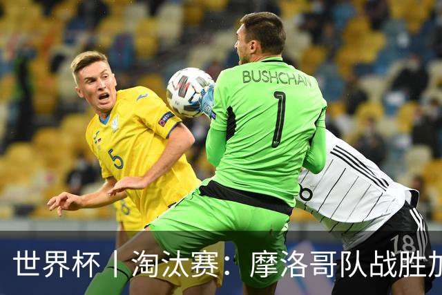 世界杯丨淘汰赛：摩洛哥队战胜加拿大队
