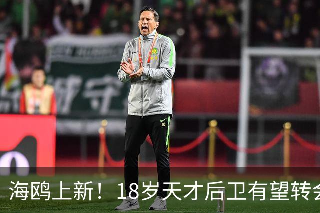 海鸥上新！18岁天才后卫有望转会英格兰，天赋顶级布莱顿要买