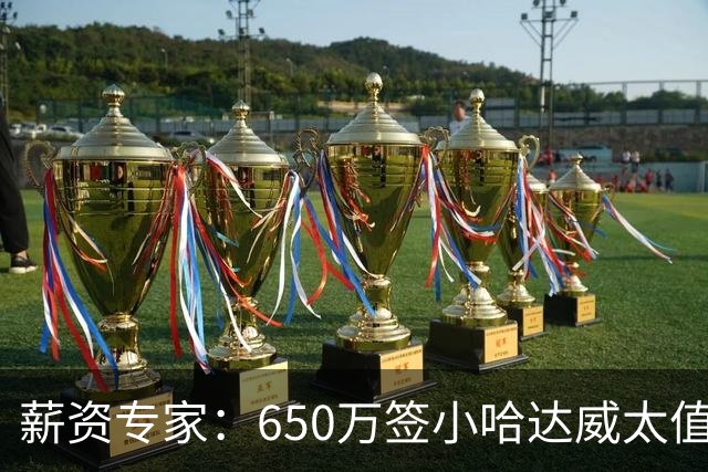 薪资专家：650万签小哈达威太值了 热火在角色球员上精打细算补强